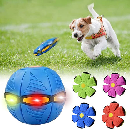 Tail Mate™ Dog Frisbee