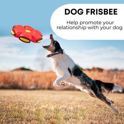 Tail Mate™ Dog Frisbee