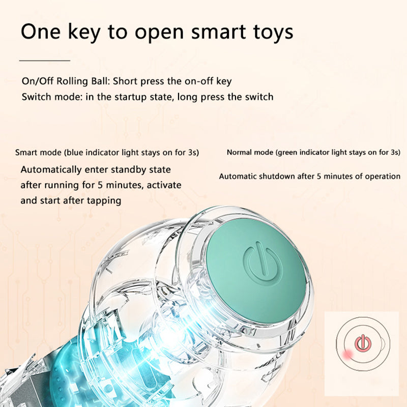Tail Mate Interactive Ball