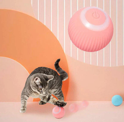 Tail Mate Interactive Ball