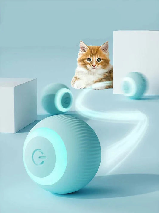 Tail Mate Interactive Ball