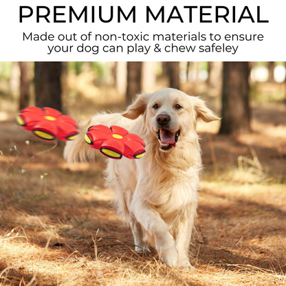 Tail Mate™ Dog Frisbee