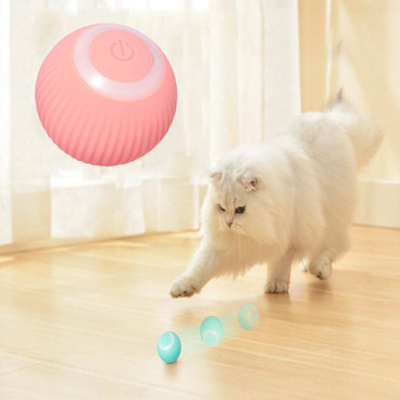 Tail Mate Interactive Ball