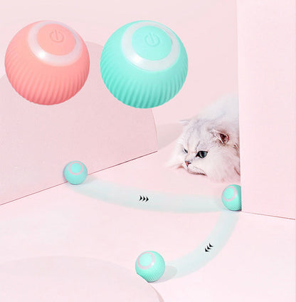 Tail Mate Interactive Ball